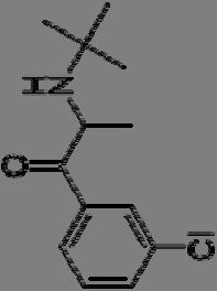 NALTREXON SR/BUPROPION SR (Mysimba ): Bupropion terapie