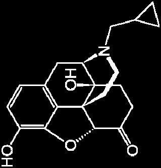 příjem potravy: inhibuje opioidní neurony tlumící