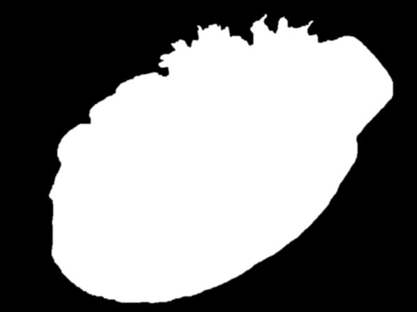 svačině