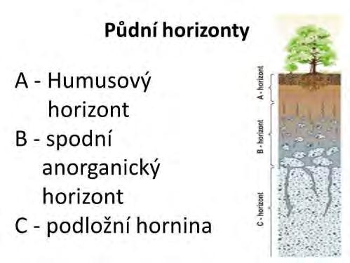 Respektování