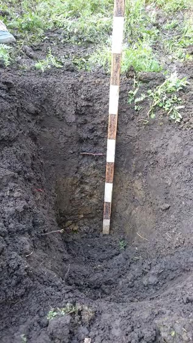 Krok za krokem Půdní sonda Odběr vzorků půdy - analýza (života v půdě, živiny, organická hmota, CaCO 3 )