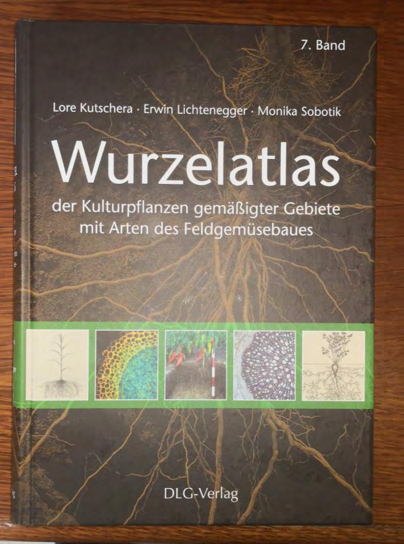 Rostliny zlepšující strukturu půdy Vojtěška setá Vičenec ligrus Žito ozimé /