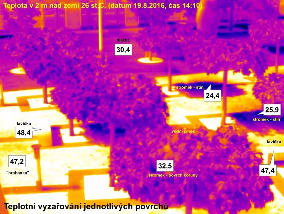 vzrostlých stromů Dron