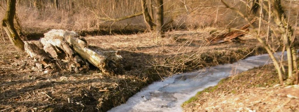 FOTOGALERIE Ledové jevy na tocích se utvořily během silných