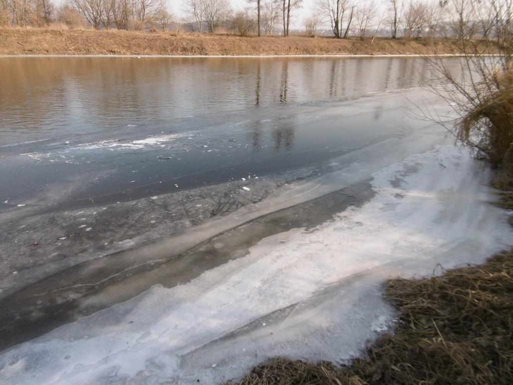 Okrajové ledové jevy na řece Berounce v místech s větším spádem