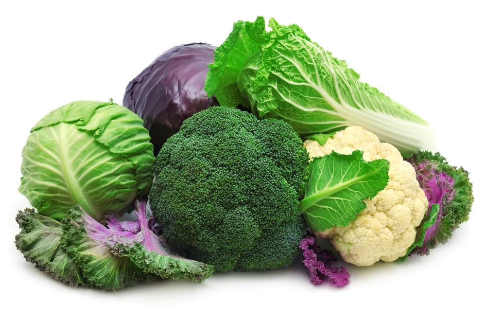 Košťálová zelenina Nejnáročnější na živiny (N, K, Ca) Odběr až 200 kg N a K/ha S růstem