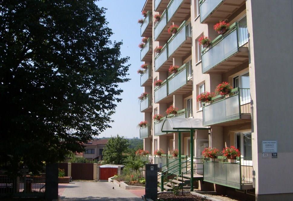 organizace ulice