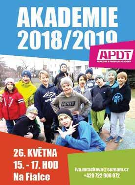 To vše a další mohlo a může proběhnout za velké přízně dětí, rodičů, ale i města Říčan a dalších