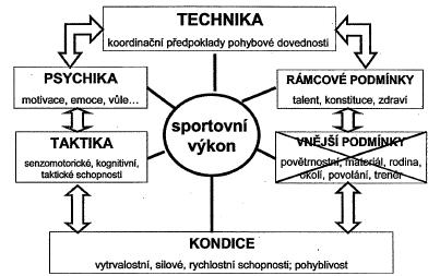 3.1.1 Sportovní výkon Sportovní výkon lze charakterizovat jako projev specializovaných schopností sportovce, jehož obsahem je pohybová činnost zaměřená na řešení úkolu, který je vymezen pravidly