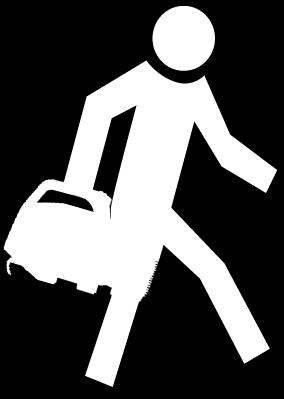 ZAPNUT IT TRASPORTO /