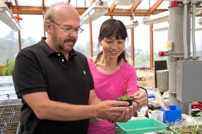 Institute Gordon and Betty Moore Foundation, Chevy Chase, MD PA professor, Plant Molecular and Cellular Biology