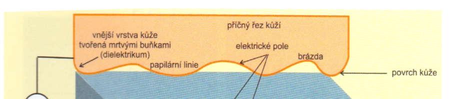 Pokud se změní tvar horní desky na vlnitý profil v důsledku papilár a brázd tak se změní i tvar elektrického pole, který se od toho odvíjí.