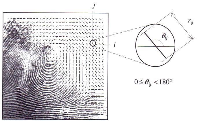a velká pro obrazy s dobrou kvalitou obrazu. [6] Obrázek 18: Obrázek otisku s vyznačeným směrovým polem. [6]. Nejjednodušší přistup k získání LOPL je založen na výpočtu gradientů v obrazu otisku prstu.