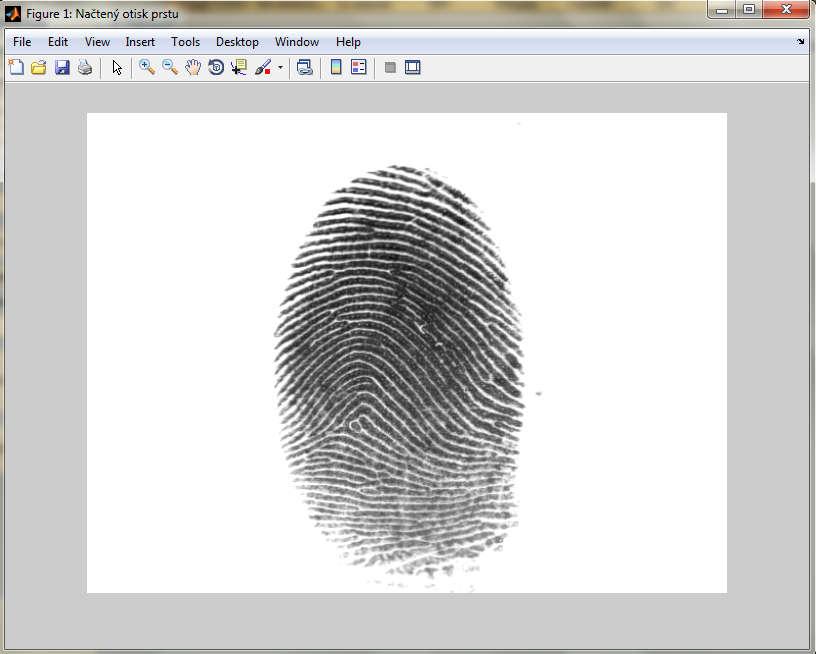 Obrázek 34: Načtený obrázek, zobrazení v novém okně Jako databáze byly použity databáze z Fingerprint Verification Competition z roku 2004 [14].