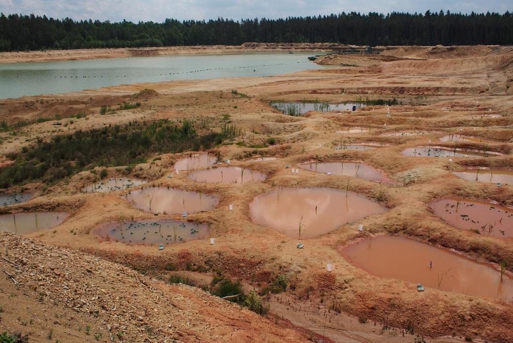 Obrázek 29 Experimentální tůně na jaře