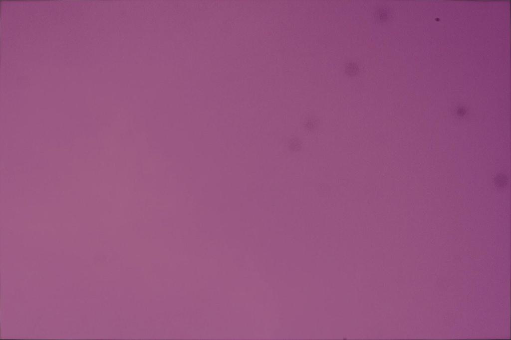 4.1.6 Kalibrační snímky Fotografováním světelných snímků skončila má práce pod oblohou, nicméně stále mi zbývalo pořídit dva typy kalibračních snímků, které slouží k odstranění šumu a nečistot z