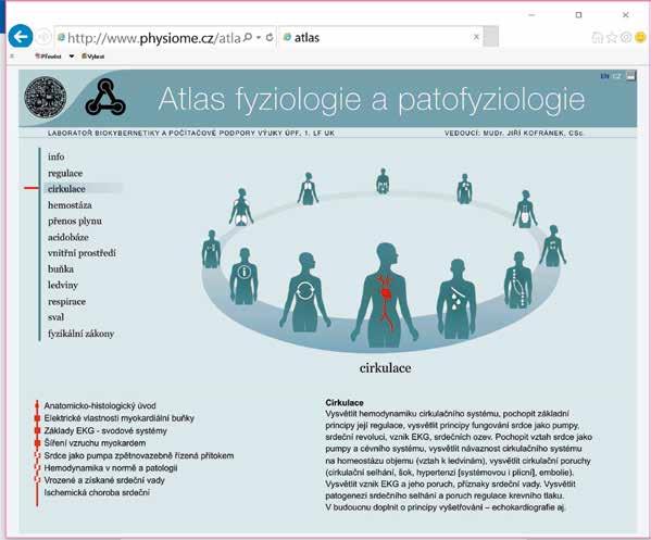 Kardiologie torů ECGSIM (http://www.ecgsim.org).