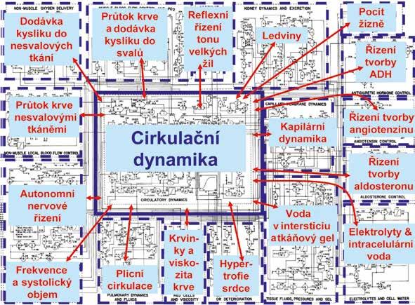 Kardiologie Obr. 4.2 Propojené fyziologické subsystémy v Guytonově modelu. O rok později, v roce 1973, vyšla monografie, (24) v níž byla řada použitých přístupů vysvětlena podrobněji.