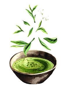 MATCHA
