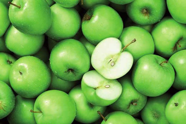 ZÁŘÍ 2019 PLATNOST AKCE: 11. 9. 30. 9. 2019 WWW.PROTON.