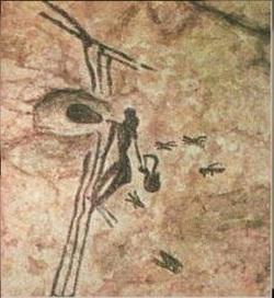 2. Teoretická část 2.1 Historie Med má své místo ve výţivě člověka od nepaměti. Jiţ v dávné minulosti člověk vyuţíval včely divoce ţijící v přírodě k získávání.