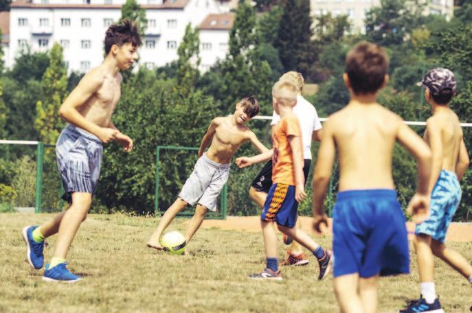 Pracuje ve společnosti Země pohádek, která připravuje a organizuje pořady, vydává audioknihy a prodává videopráva k originálním dílům, například ke Krtkovým dobrodružstvím.