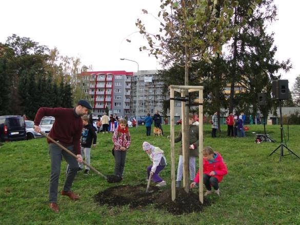 výročí vzniku samostatného státu Čechů a Slováků. Symbolem zrodu nové republiky, ale také svobody a demokracie, byla lípa. Novojičínští zasadili na paloučku v místní části Loučka lípu srdčitou.