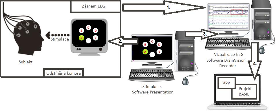 9.2 Získání dat 40 Obrázek 9.1: Princip komunikačního řešení BCI systému. 1. Získání dat 2. Vizualizace grafického scénáře 3. Komunikace mezi NP a BVA. 4. Komunikace mezi BVA a projektem Basil. 9.2 Získání dat Proces získání EEG dat je dostatečně popsán již v teoretické části kapitoly 5 Naměření signálu, a proto se mu nebudeme opětovně věnovat.