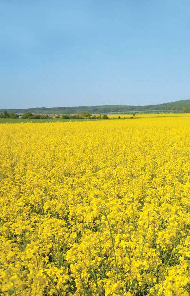 NAŠE i VAŠE volba! Ing. enrietta DOLINSKÁ jednatelka společnosti 604 909 093 dolinska@agrofinal.cz Ing. Jiří KRATOCVÍL obchodní manager pro Moravu 604 266 799 kratochvil@agrofinal.cz Ing. Otto ŠRŮTA obchodní zástupce 603 825 429 sruta@agrofinal.