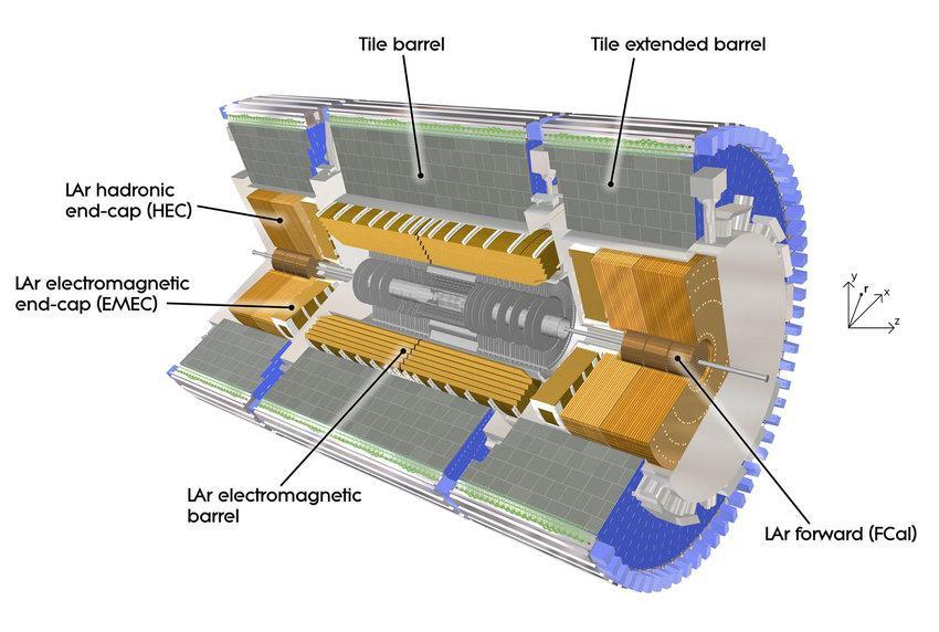 V detektoru je hlavně kvůli detekci energetických jetů letících blízko ose urychlovače, které jsou známkou fyziky za standardním modelem.