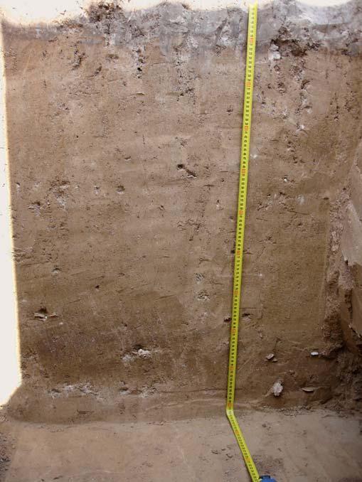 Podolí V (Škrdla 2017) and it is a promising area for future finds of in situ Aurignacian sites. 14 C dates & ochre pieces. Wet-sieving of the paleosol sediments produced a small lump of ochre.