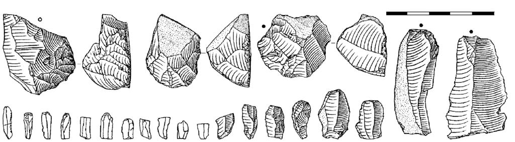 1 2 3 4 5 6 7 8 9 10 11 12 13 14 15 16 17 21 22 18 19 20 0 5 cm Fig. 4. Líšeň - Nad výhonem. Selected lithic artifacts. Adopted from Škrdla et al. 2011. Obr. 4. Líšeň - Nad výhonem. Vybrané artefakty.