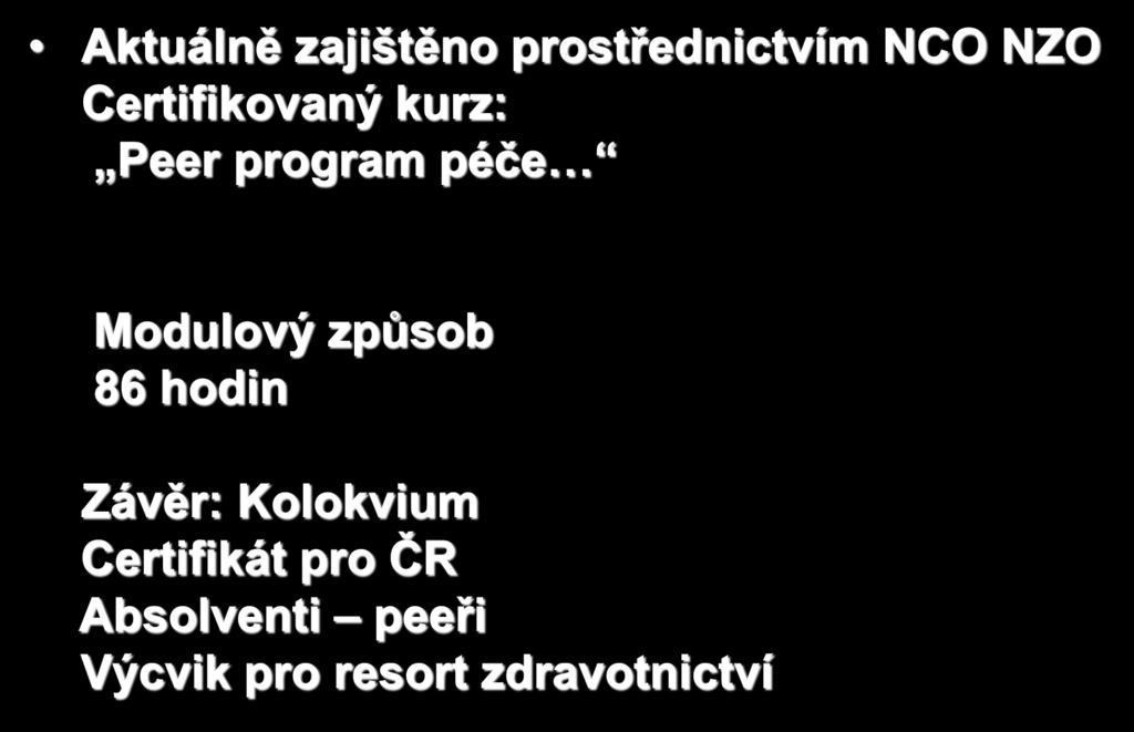 Certifikovaný kurz: Peer program