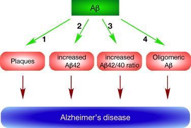 Obr. 12 Možné teorie vzniku AD amyloidní teorií. Tento obrázek ukazuje čtyři možné teorie. První je ukládání Aβ. Druhá poukazuje na zvyšování Aβ1-42.