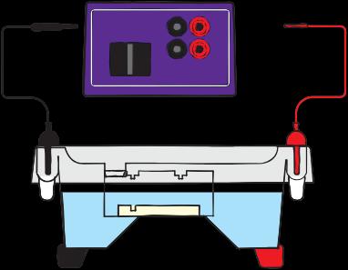 Pamatujte, že vzorky DNA budou migrovat směrem ke kladné (červené) elektrodě. 11.