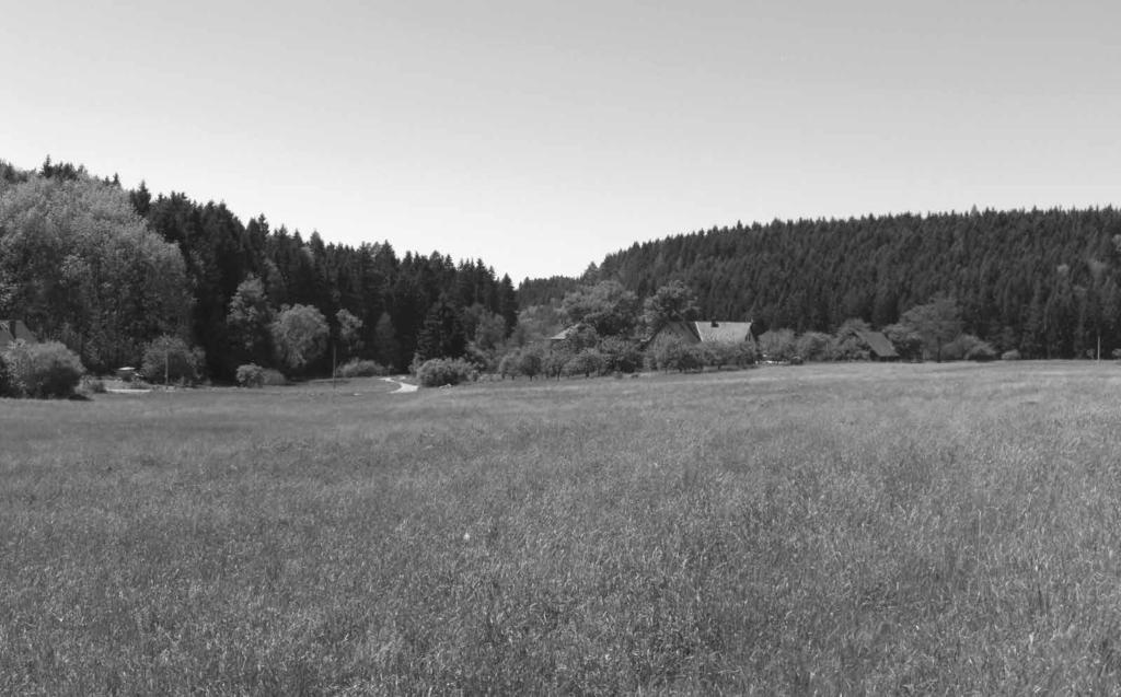 Obr. 8: Modlivý důl úzké, sevřené údolí levostranného přítoku Horského potoka ve střední části Kunvaldu, kde se scházeli čeští bratři.