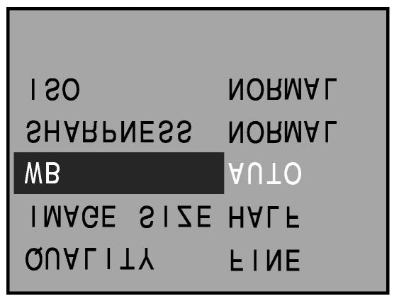 Vyvážení bílé Vyvážení bílé Funkce Vyvážení bílé umožňuje exponovat barevně neutrální snímky při osvětlení scény různými zdroji světla.