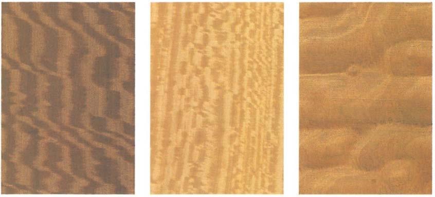 Typy textur mramorovaná vzhled: vlivem jemných nebo hrubých pruhů střídavé točitosti vláken a středně dlouhým až krátkým zvlněním především nepravidelně tangenciálně probíhajících vláken a tím