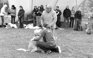 Dne 16. listopadu 2014 probûhly v na í obci povahové zkou ky terapeutick ch psû spoleãnosti Pes A âlovûk.