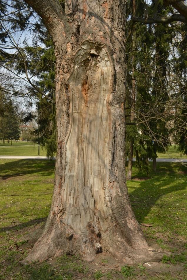 48 Obrázek III.