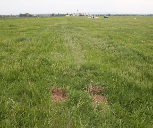 Místo letecké nehody Místo přistání se nacházelo na LKBO, kde se letoun zastavil ve vzdálenosti cca 260 m od prahu RWY 25.