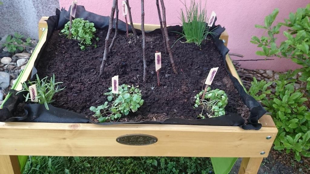 Spolupráce v environmentální oblasti je realizována formou projektů a programů k prožitkovému učení v ekologických centrech interaktivními programy na školní zahradě poznávacími a zdravotně