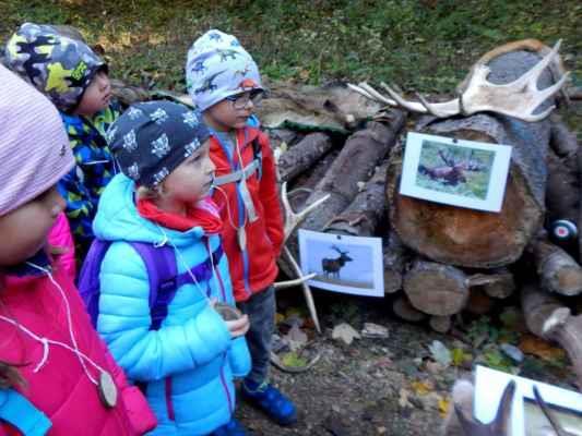 Podpora společného vzdělávání Dětem se speciálními vzdělávacími potřebami, škola nabízí integraci v běžných třídách s individuálním vzdělávacím programem, který zajišťuje osvojení dovedností v