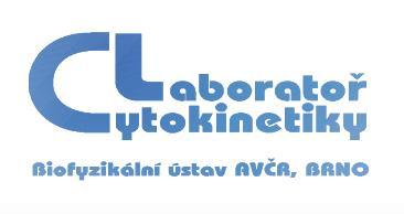 treatment: ovlivňovaný systém parametry cytokinetiky: cytostatika, ozařování, proliferace regulační podněty, atd.