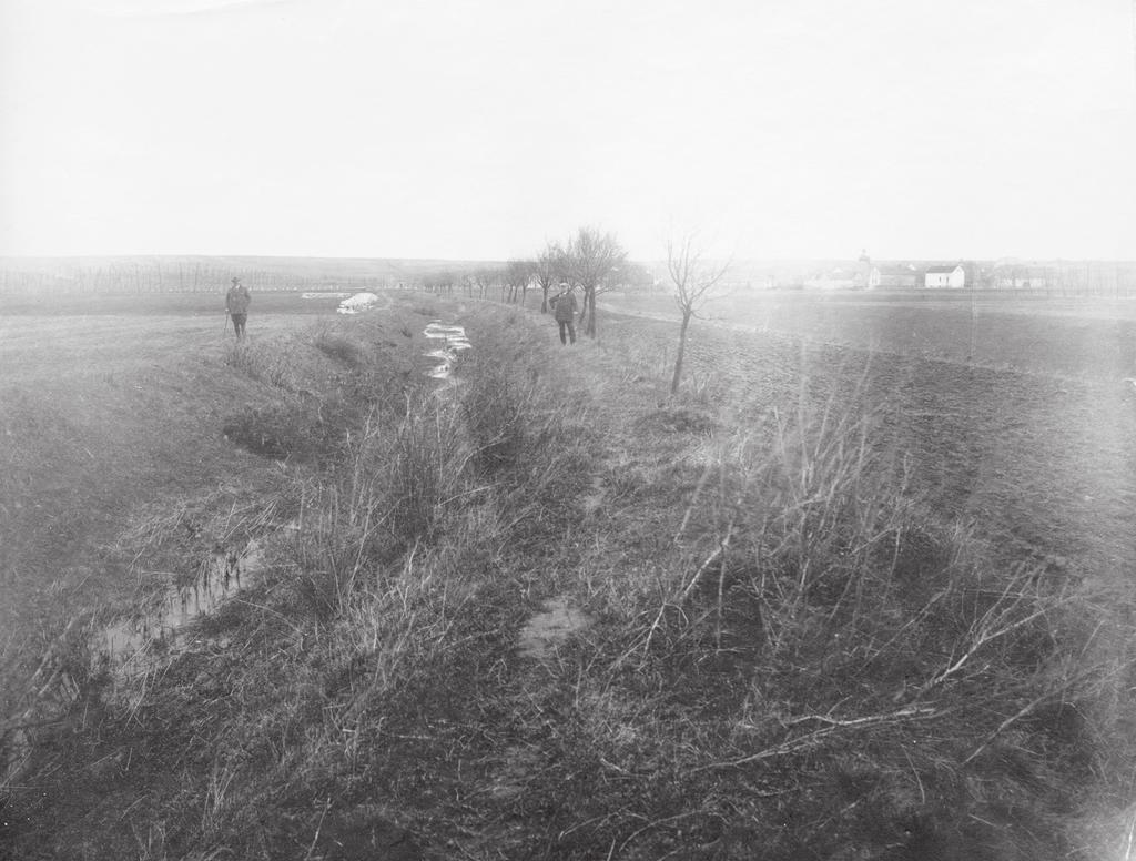 Hájský