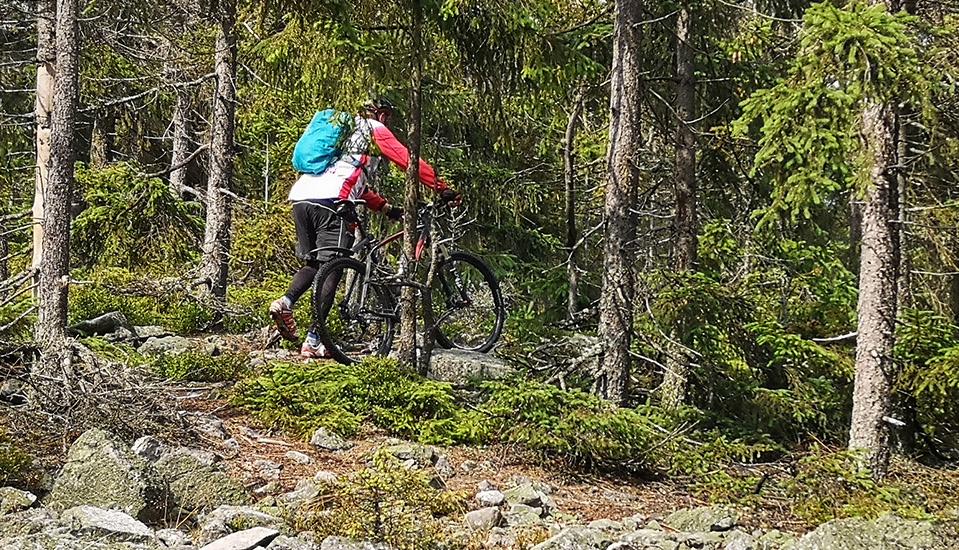 V dáli na horizontu se ukázala první osmistovka, Třemšín (827 m). Pokud jste zde ještě nebyli, vřele Vám výstup na Třemšín doporučuji. Je to kopec, se zajímavou a bohatou historií.