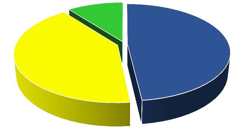 Tělesná zdatnost (TZ) podle Ruffiera Velmi dobrou TZ má pouze 42% 48% desetina studentů Nedostatečnou či podprůměrnou TZ má téměř polovina studentů nedostatečná průměrná