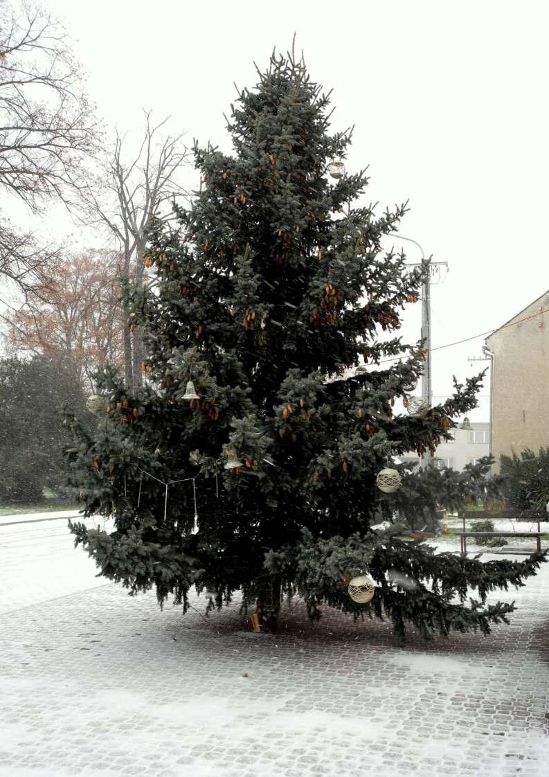 obce Hnìvotín Uvnitø vydání najdete: Rozsvícení "Vánoèního stromu obce"... str. 6 a 8 Se zemìdìlci chceme spolupracovat.