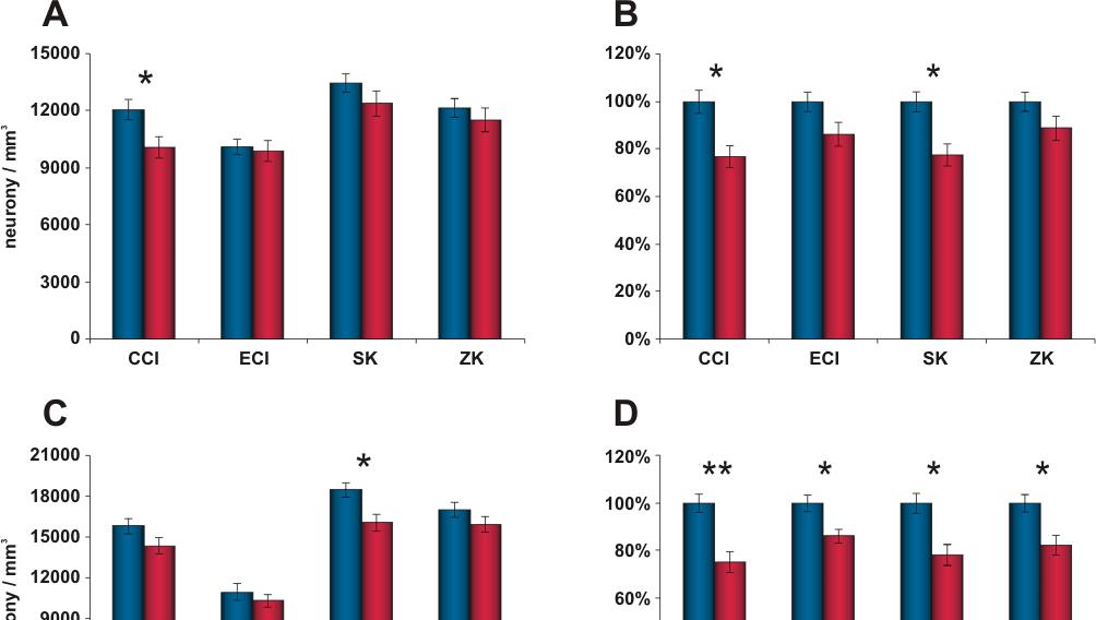 Obr. 15 Výsledky kvantitativního vyhodnocení imunoreaktivity GAD65 a GAD67 u kmene Long Evans (A,B,C,D) a Fischer 344 (E,F).