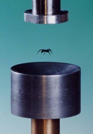 Acoustic Levitation 16. Acoustic Levitation Small objects can levitate in acoustic standing waves. Investigate the phenomenon.